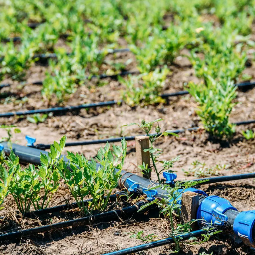 Can HDPE Pipes Be Used for Drainage in Agricultural Fields?